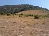 Thumbnail pictures/2012_08_Hija_Rai_Vryh_Botev_snimki_ot_Delian/2012_08_07__11_06_30.jpg 