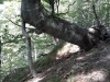 Thumbnail pictures/2012_08_Hija_Rai_Vryh_Botev_snimki_ot_Delian/2012_08_07__12_32_14.jpg 