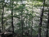 Thumbnail pictures/2012_08_Hija_Rai_Vryh_Botev_snimki_ot_Delian/2012_08_07__12_32_27.jpg 