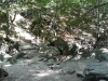 Thumbnail pictures/2012_08_Hija_Rai_Vryh_Botev_snimki_ot_Delian/2012_08_07__13_41_02.jpg 