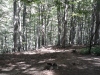 Thumbnail pictures/2012_08_Hija_Rai_Vryh_Botev_snimki_ot_Delian/2012_08_07__14_32_33.jpg 