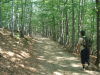 Thumbnail pictures/2012_08_Hija_Rai_Vryh_Botev_snimki_ot_Vasko/2012_08_07__08_40_14__dsc04735.jpg 