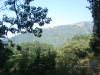 Thumbnail pictures/2012_08_Hija_Rai_Vryh_Botev_snimki_ot_Vasko/2012_08_07__08_42_14__dsc04736.jpg 