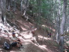 Thumbnail pictures/2012_08_Hija_Rai_Vryh_Botev_snimki_ot_Vasko/2012_08_07__13_04_42__dsc04753.jpg 