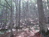 Thumbnail pictures/2012_08_Hija_Rai_Vryh_Botev_snimki_ot_Vasko/2012_08_07__13_18_52__dsc04758.jpg 