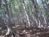 Thumbnail pictures/2012_08_Hija_Rai_Vryh_Botev_snimki_ot_Vasko/2012_08_07__13_19_00__dsc04759.jpg 