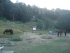 Thumbnail pictures/2012_08_Hija_Rai_Vryh_Botev_snimki_ot_Vasko/2012_08_08__06_02_34__dsc04771.jpg 