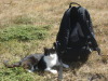 Thumbnail pictures/2012_08_Hija_Rai_Vryh_Botev_snimki_ot_Vasko/2012_08_08__12_12_44__dsc04796.jpg 
