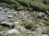 Thumbnail pictures/2012_08_Hija_Rai_Vryh_Botev_snimki_ot_Vasko/2012_08_08__14_32_24__dsc04818.jpg 