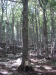 Thumbnail pictures/2012_08_Hija_Rai_Vryh_Botev_snimki_ot_Vasko/2012_08_11__08_11_08__dsc04756.jpg 